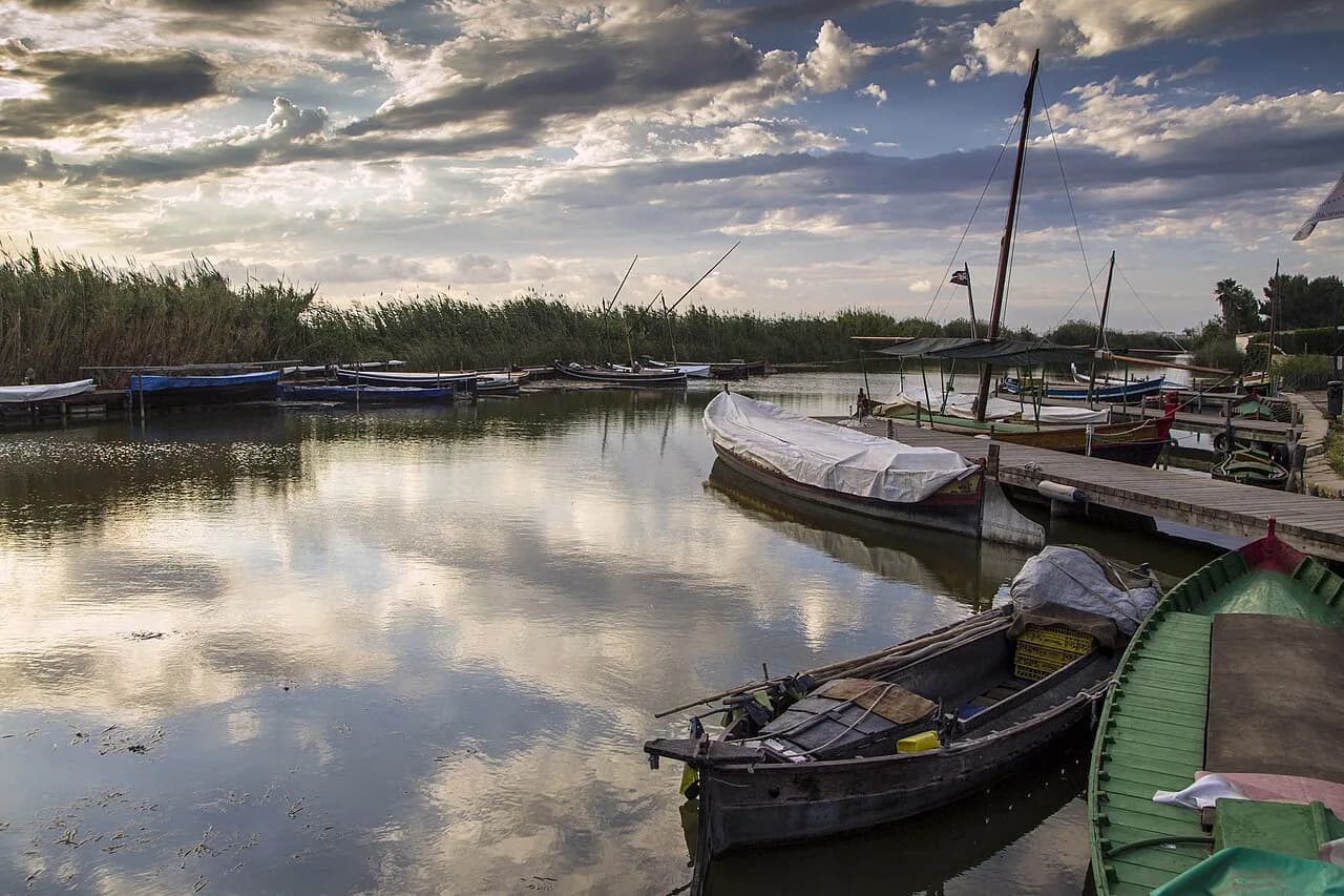 Valencia to Albufera by Bus: EMT Lines, Stops and Costs