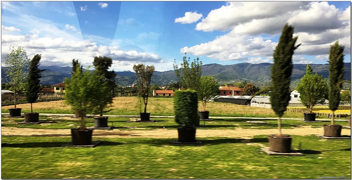 Italy on the Way 1 IMG 1903 Pistoia (50497460842)