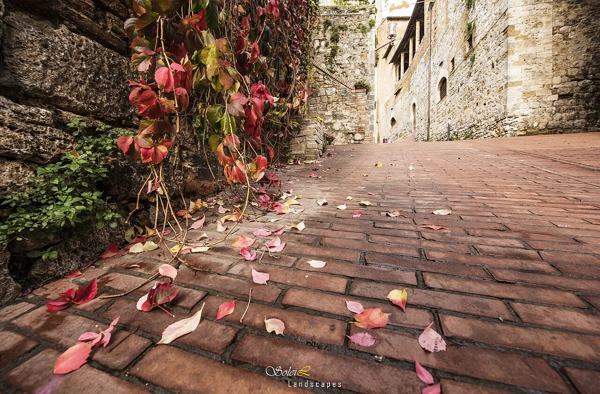 Street In San Gimignano (124584073)