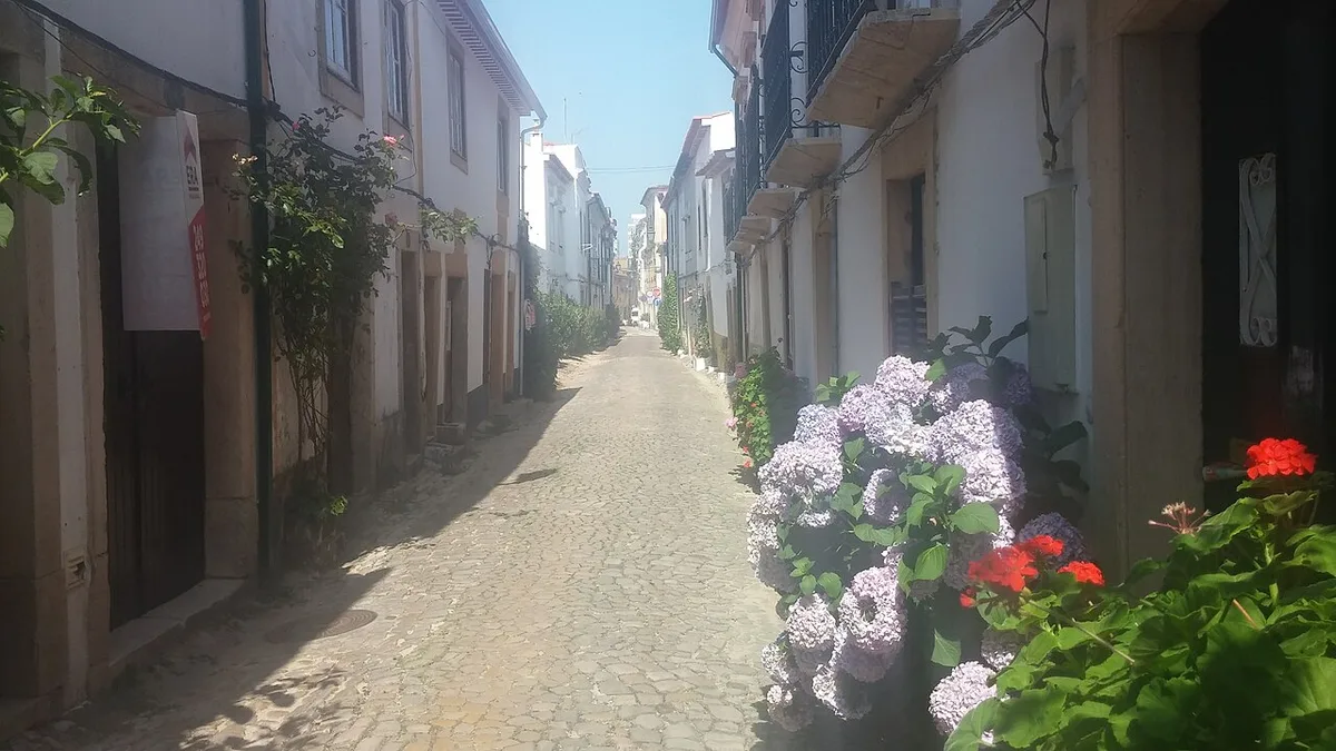 Joaquim Jaquinto street Tomar — 1