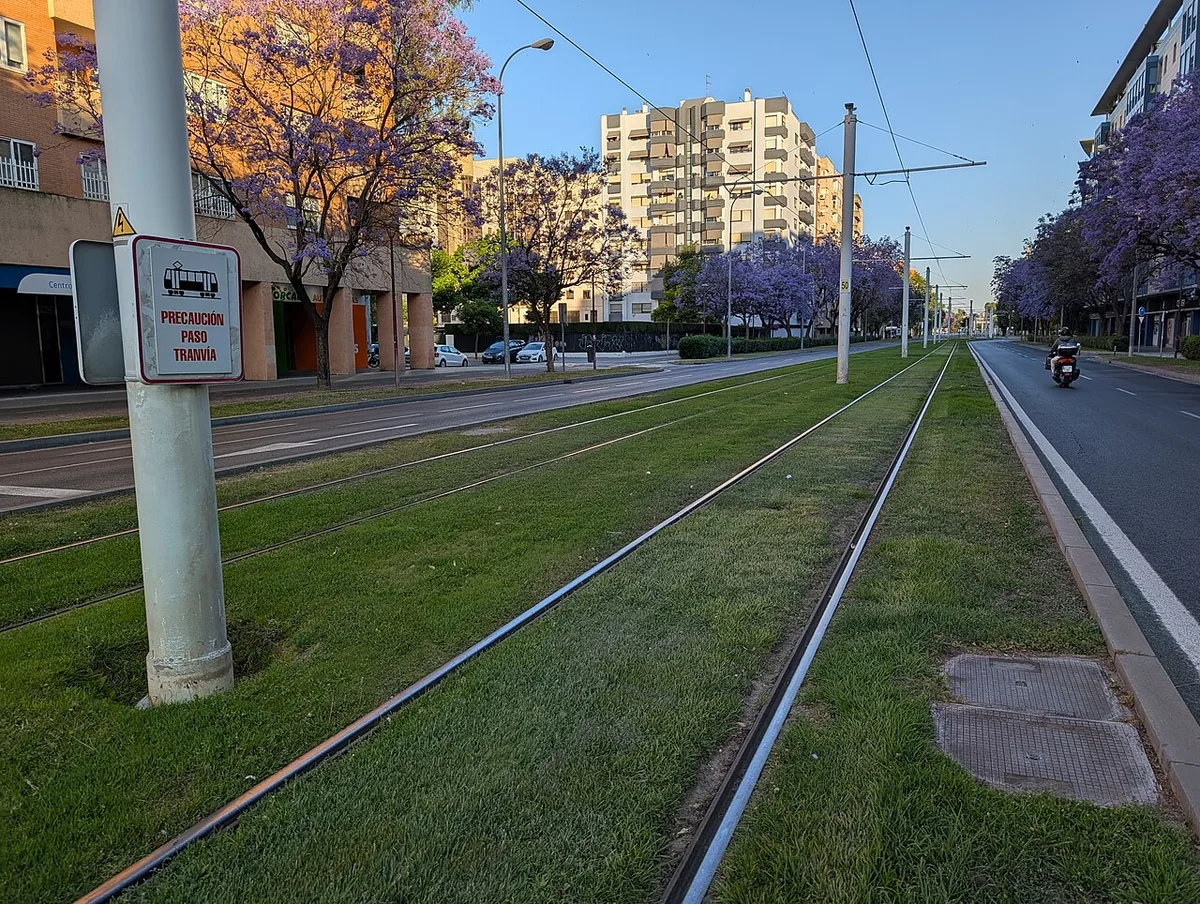 Grassed tram tracks along Calle Enramadilla in Seville